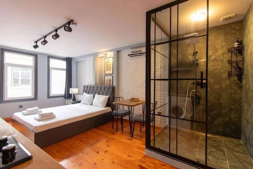 Modern Stylish Studio Retreat In Fatih District 伊斯坦布尔 土耳其